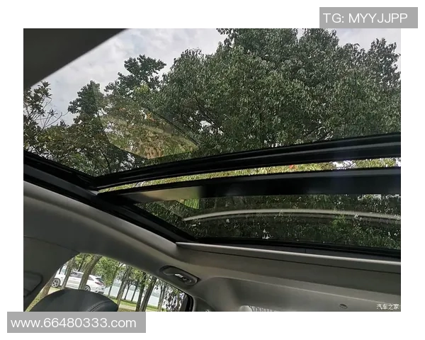 武汉羽毛球队配合排名创新高展现团队实力与竞技水平的飞跃 武汉羽毛球队配合排名创新高展现团队实力与竞技水平的飞跃