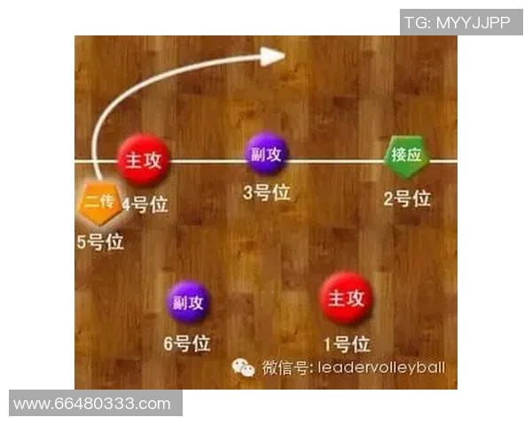 深入分析北京排球队进攻战术与球员配合的关键要素 深入分析北京排球队进攻战术与球员配合的关键要素