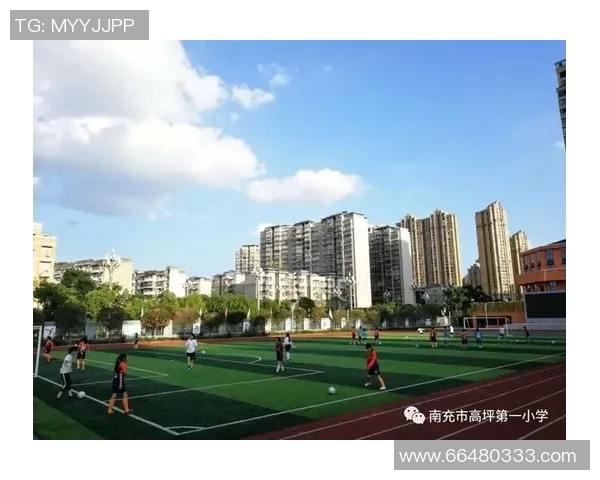 深圳足球队的拼搏历程与欧锦赛荣耀之路的特别报道