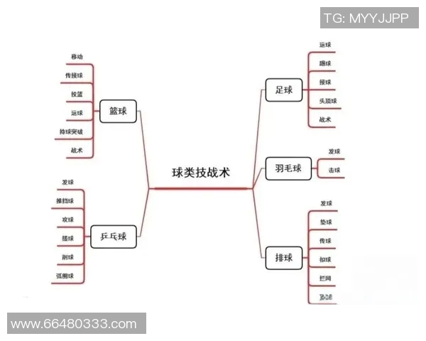 英超陈敏独家揭秘篮球技巧与战术心得分享