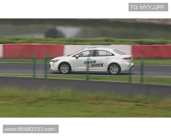 体育实时数据探寻广州篮球队的耐力之道揭示训练背后的秘密与坚持