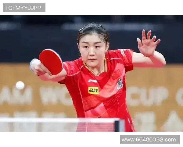 运动数据乒乓球新手必看从基础技巧到实战训练的全面入门指南