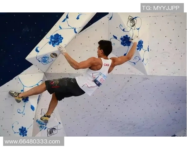 运动数据南京极限运动队在攀岩联赛中以61分高居积分榜首位