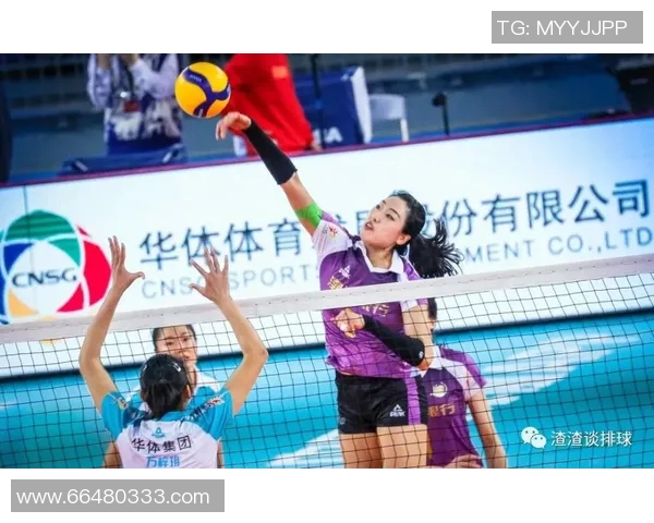 运动最新数据深度探讨陈秀英的排球人生与她的奋斗精神与成就之路 运动最新数据深度探讨陈秀英的排球人生与她的奋斗精神与成就之路